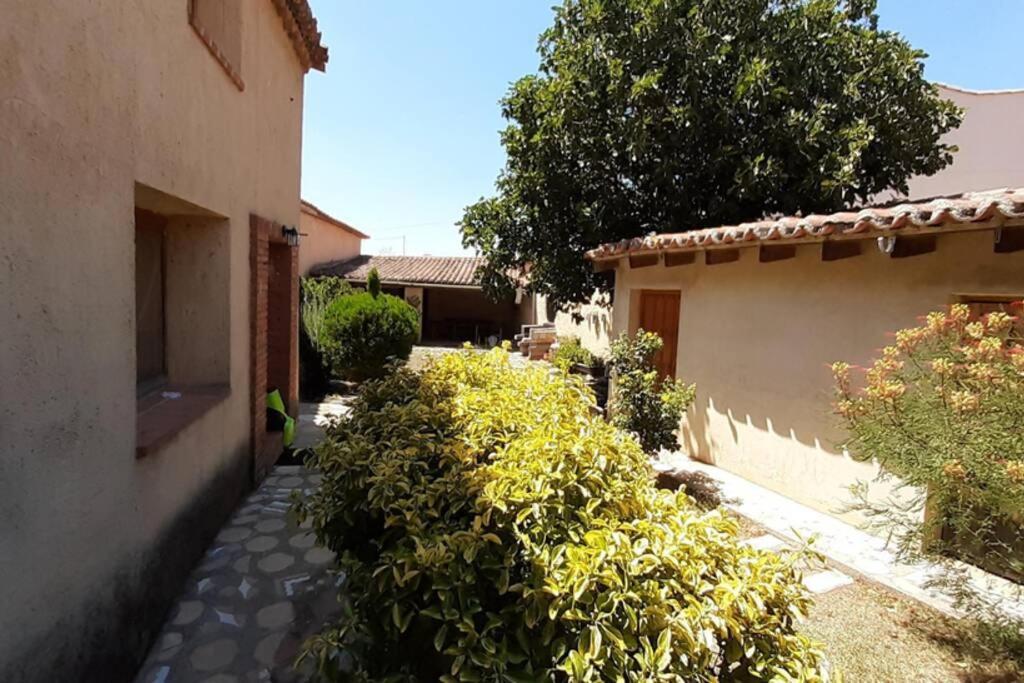 Casa Rural La Paloma - Zamora Manganeses de la Lampreana Kültér fotó
